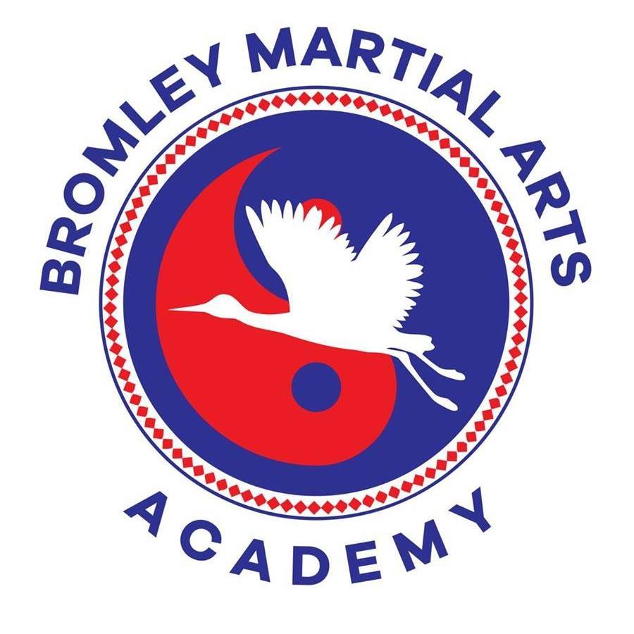 Chief Instructor - Bromley Martial Arts Academy 