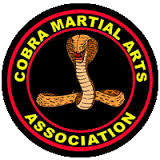 Insured via Cobra Martial Arts 