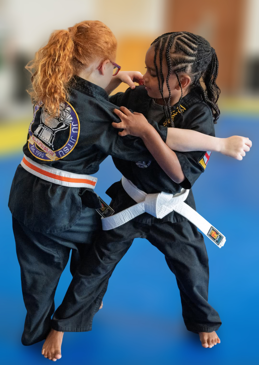 Martial Arts Classes