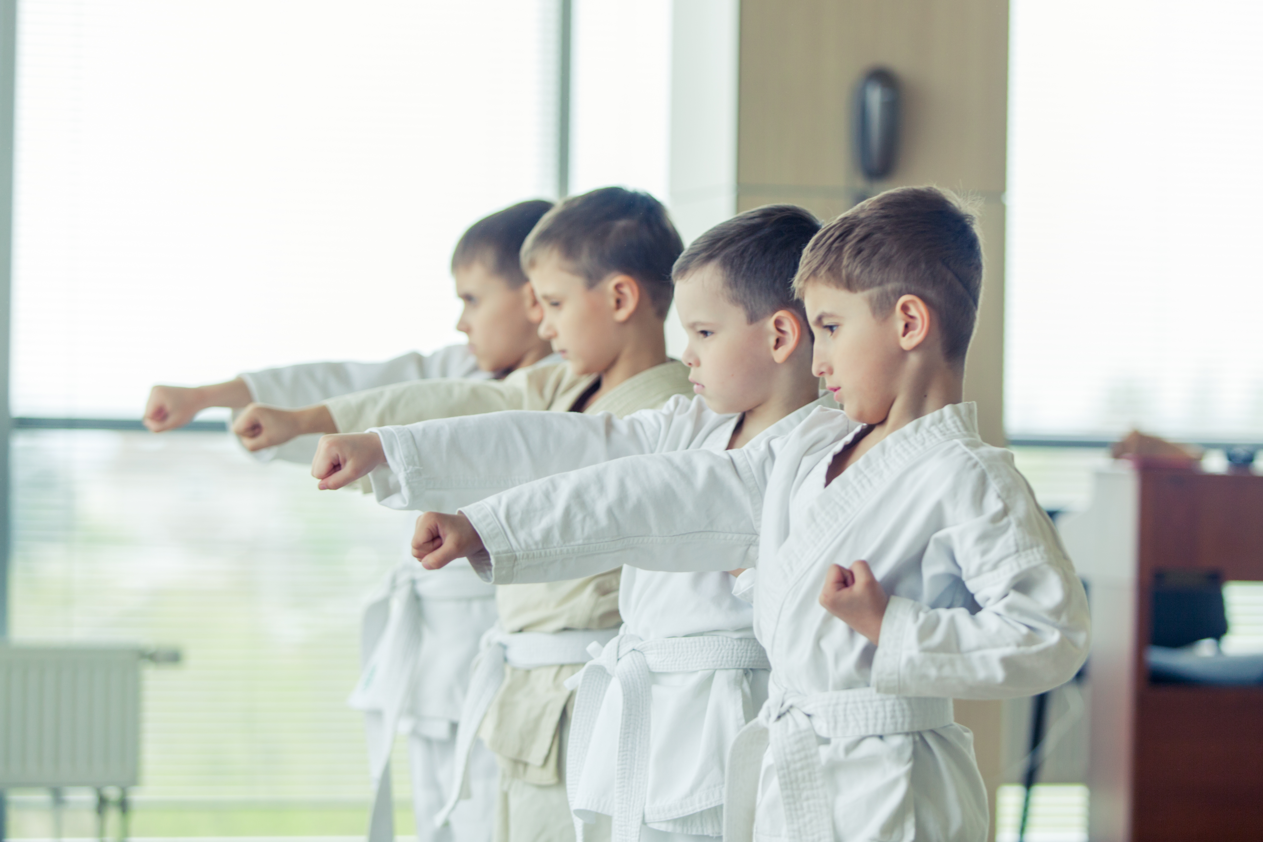 Martial Arts Classes