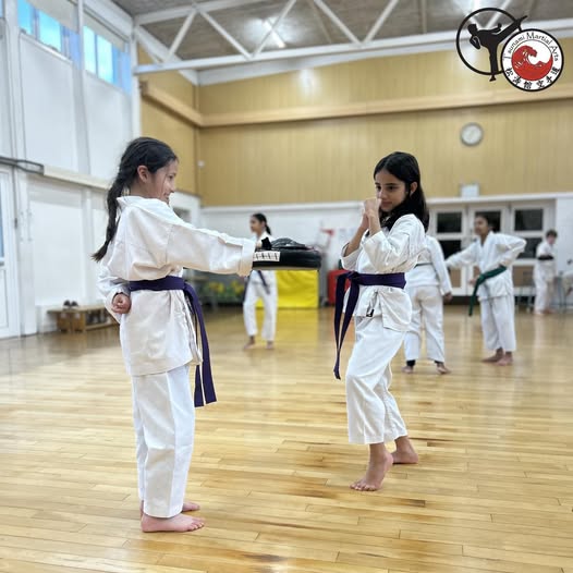 Martial Arts Classes