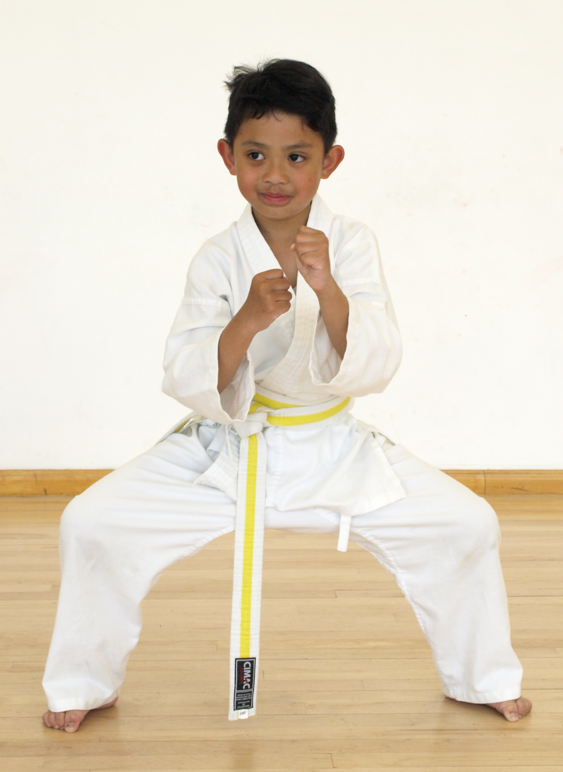 Martial Arts Classes