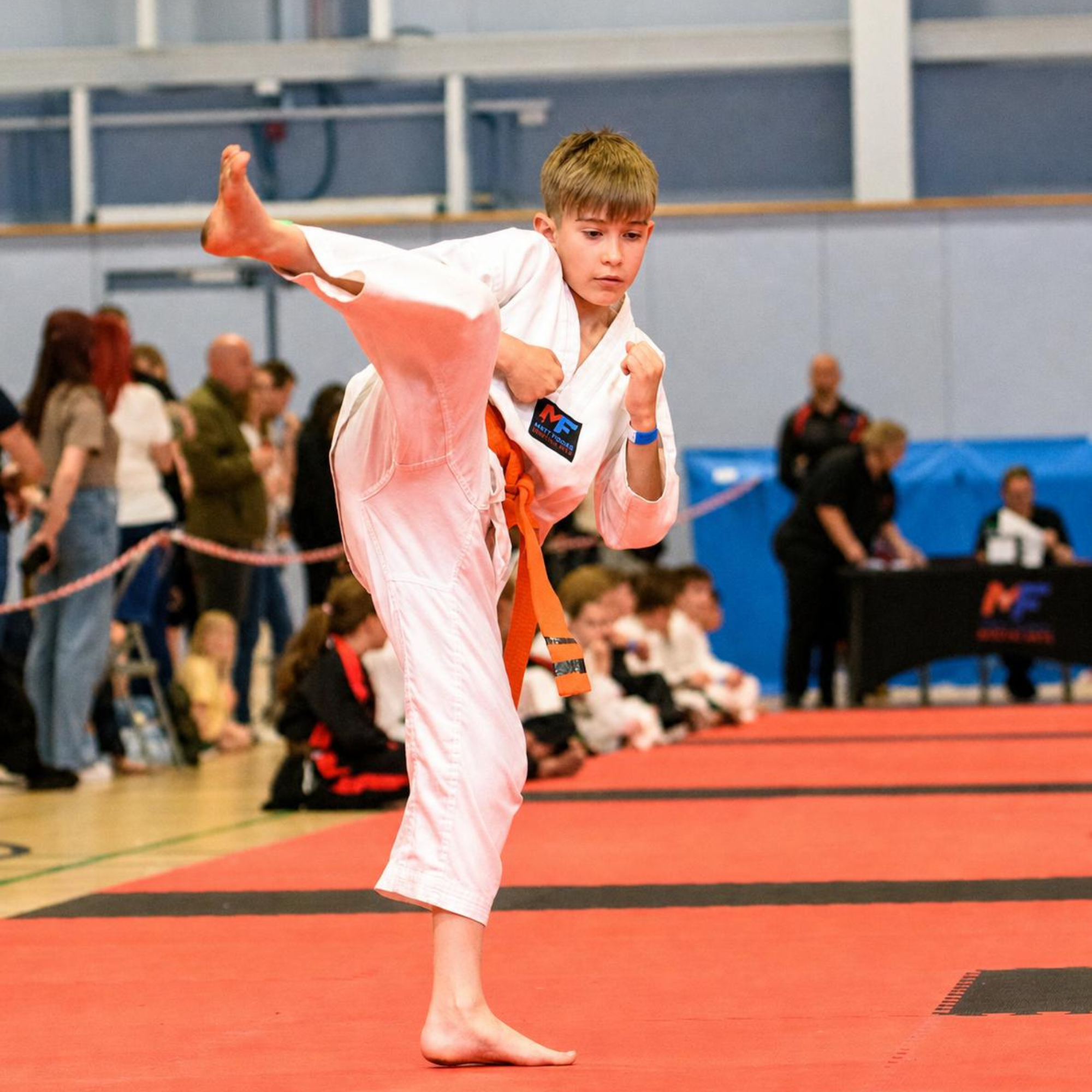 Martial Arts Classes