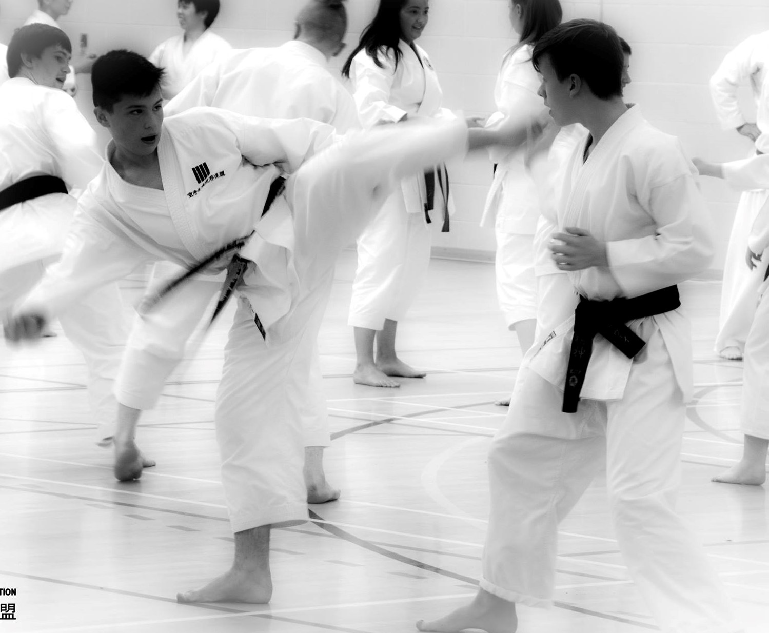 Martial Arts Classes