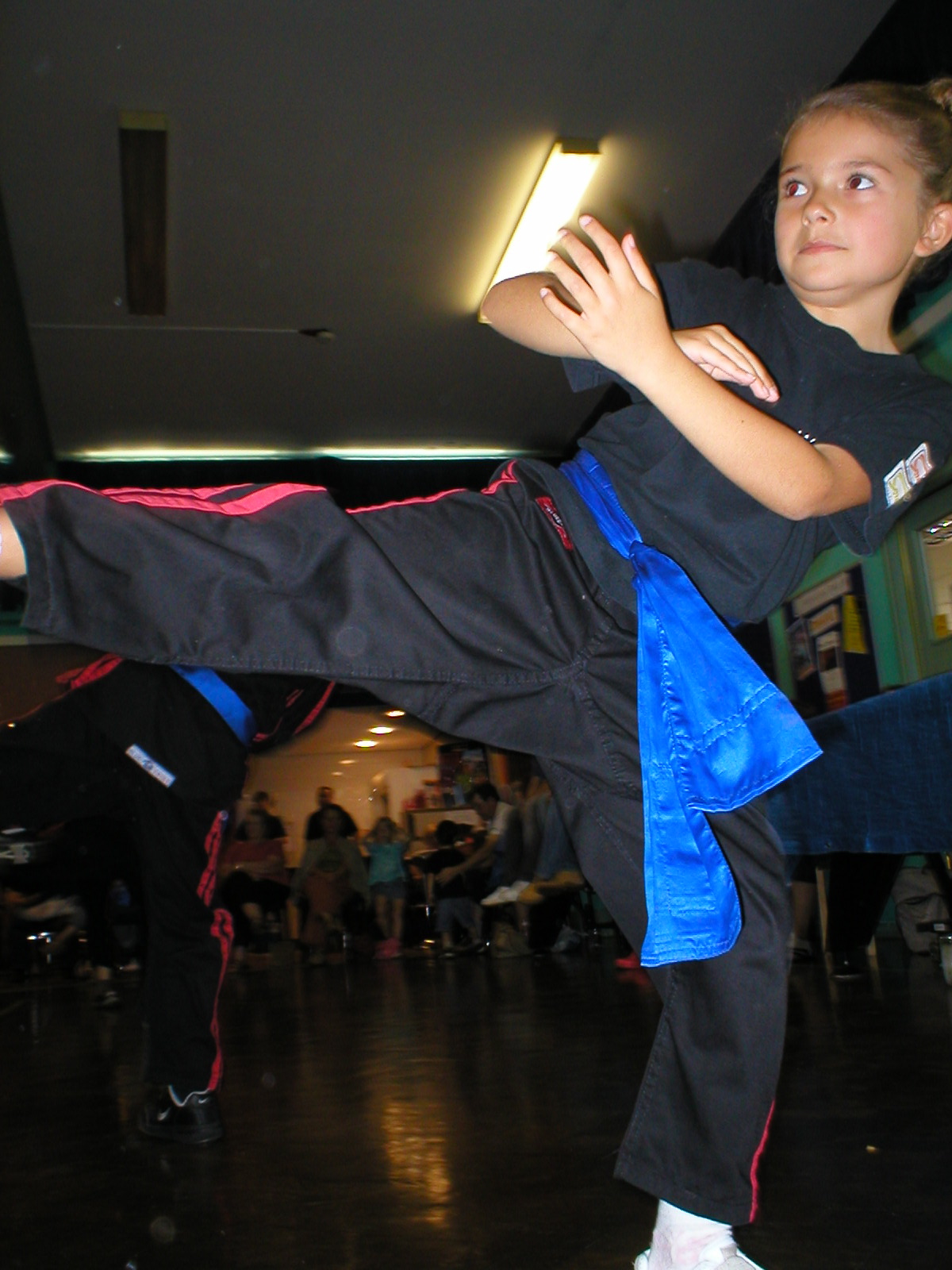 Martial Arts Classes