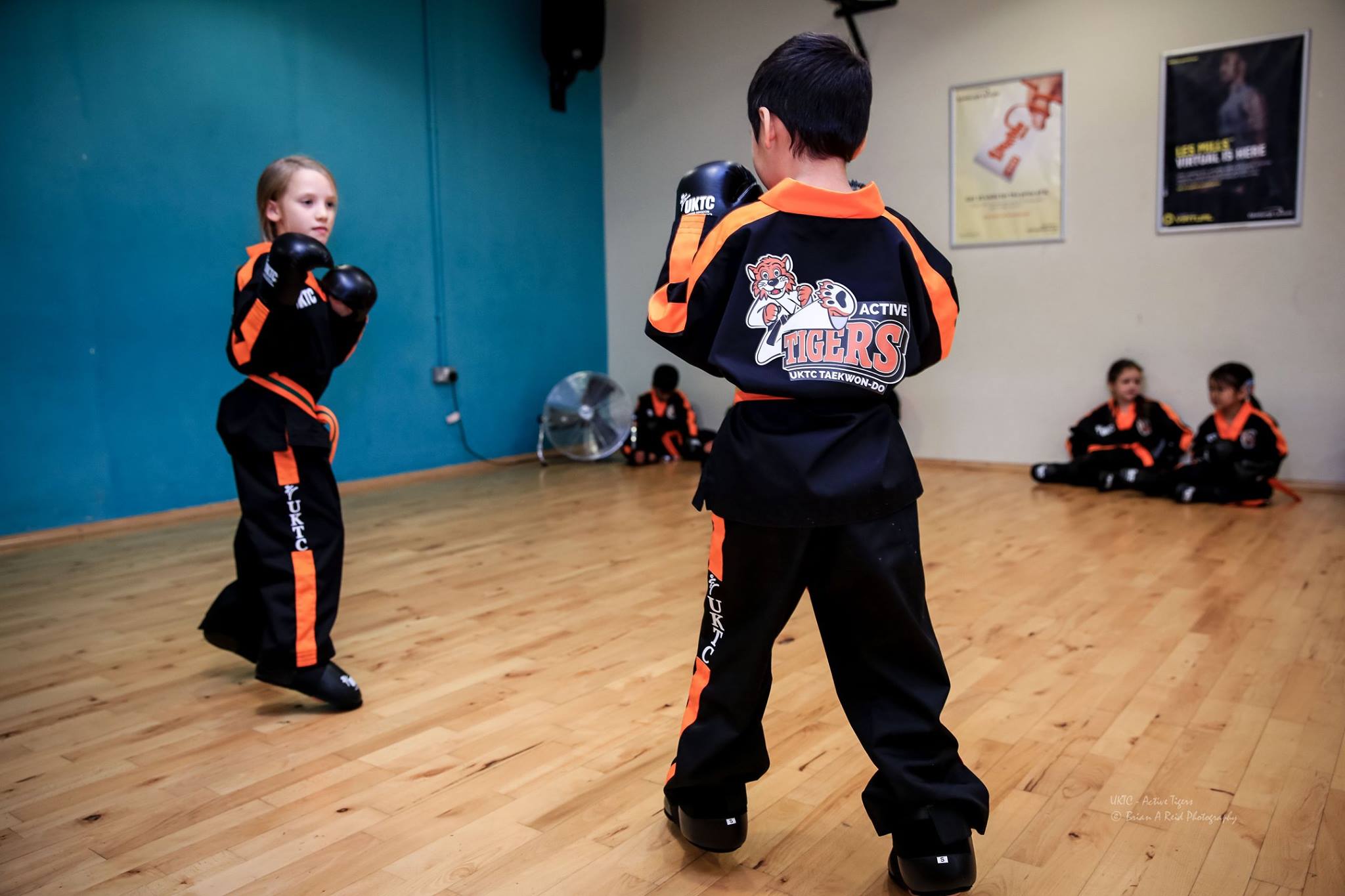 Martial Arts Classes