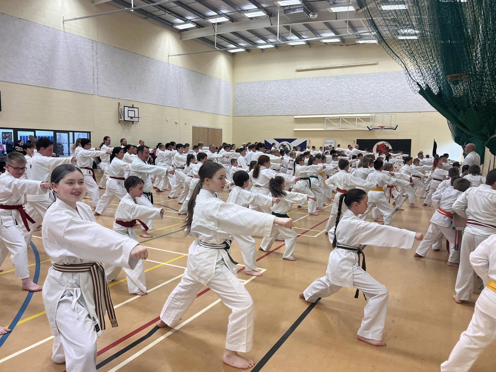 Martial Arts Classes
