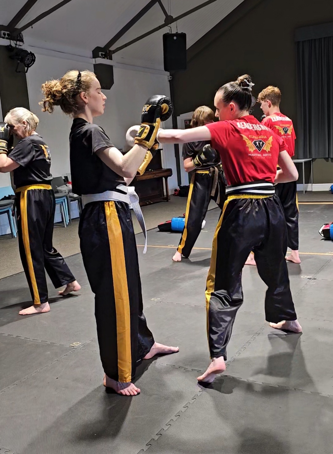 Martial Arts Classes