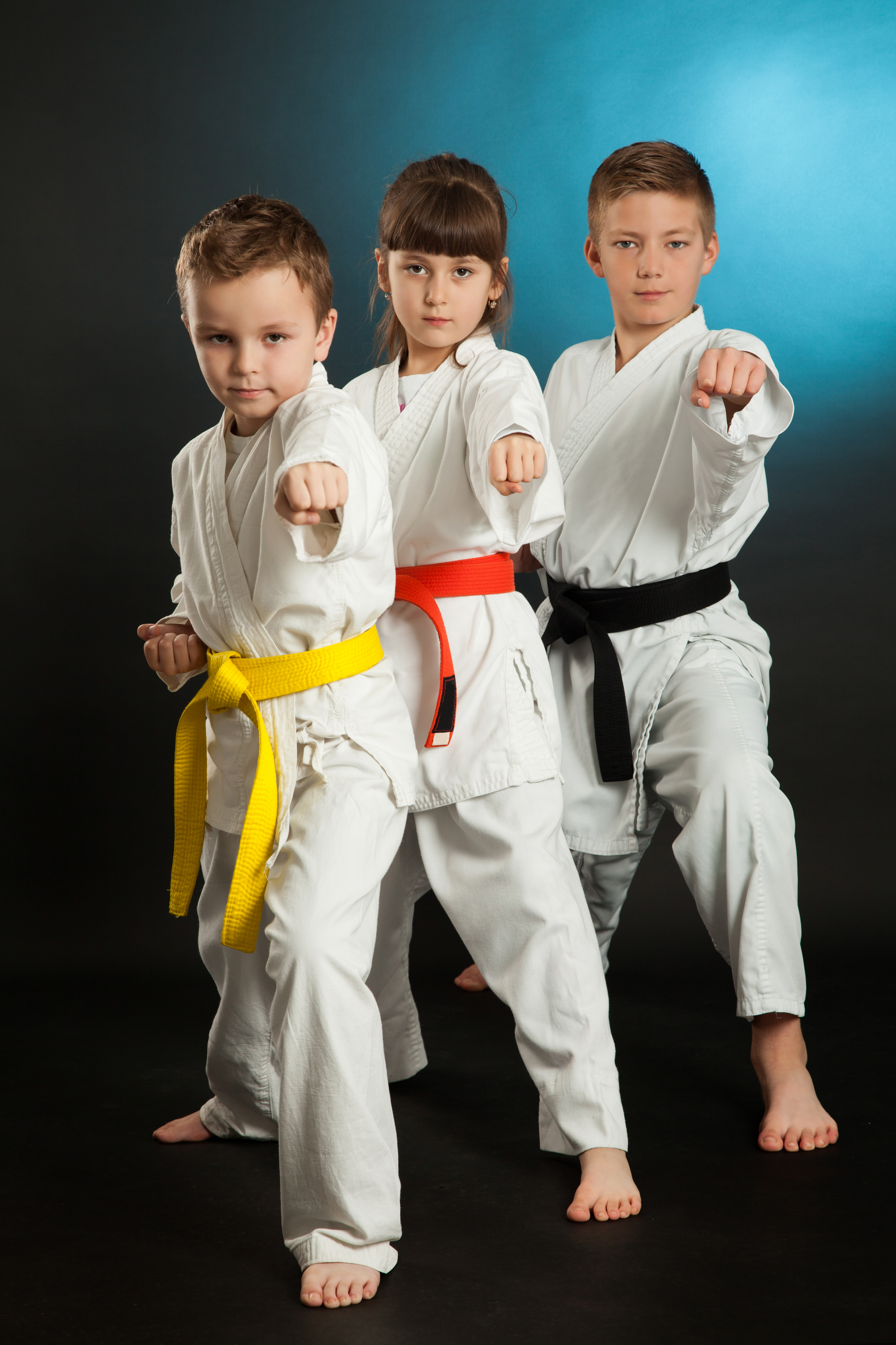 Martial Arts Classes