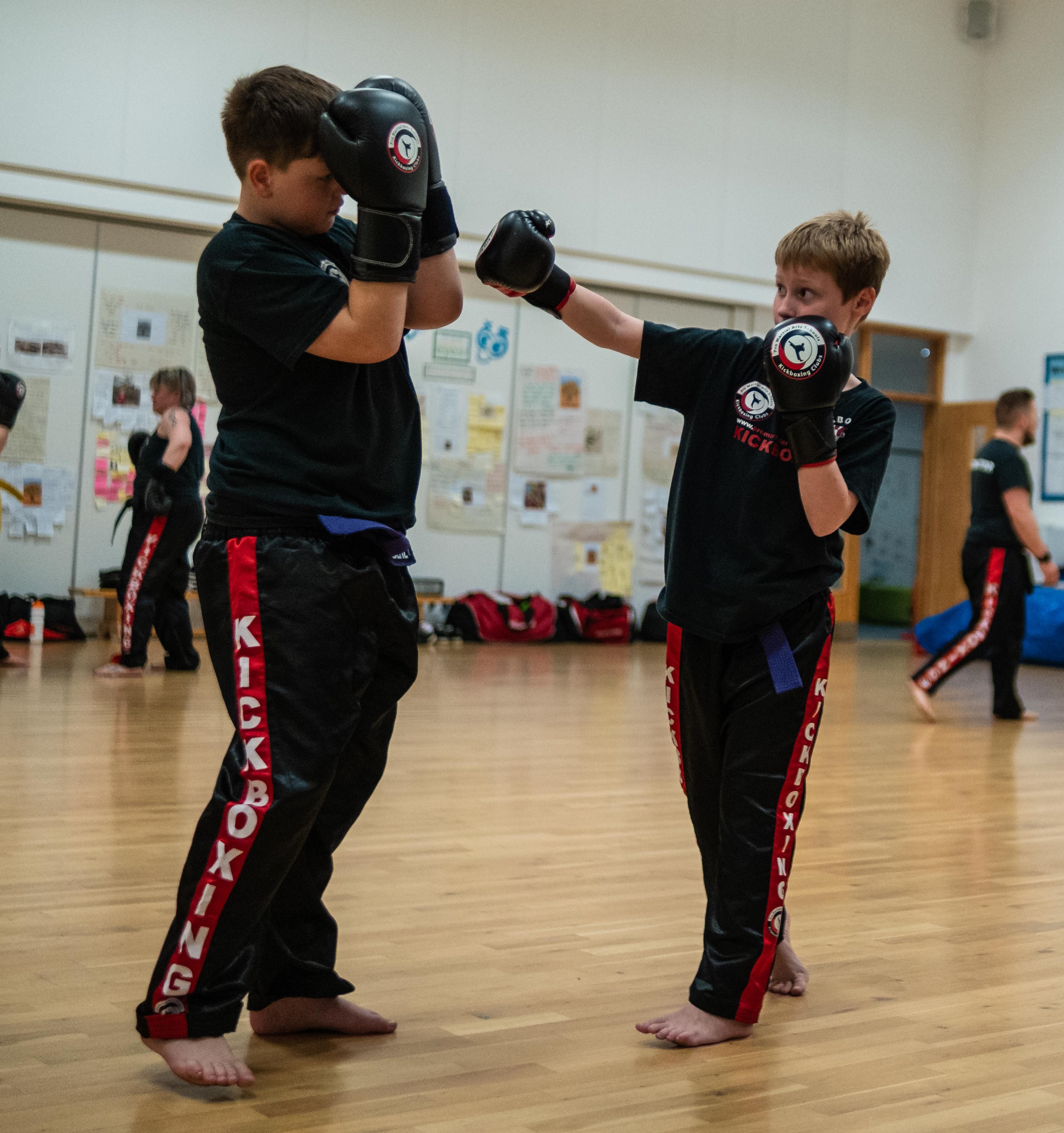 Martial Arts Classes