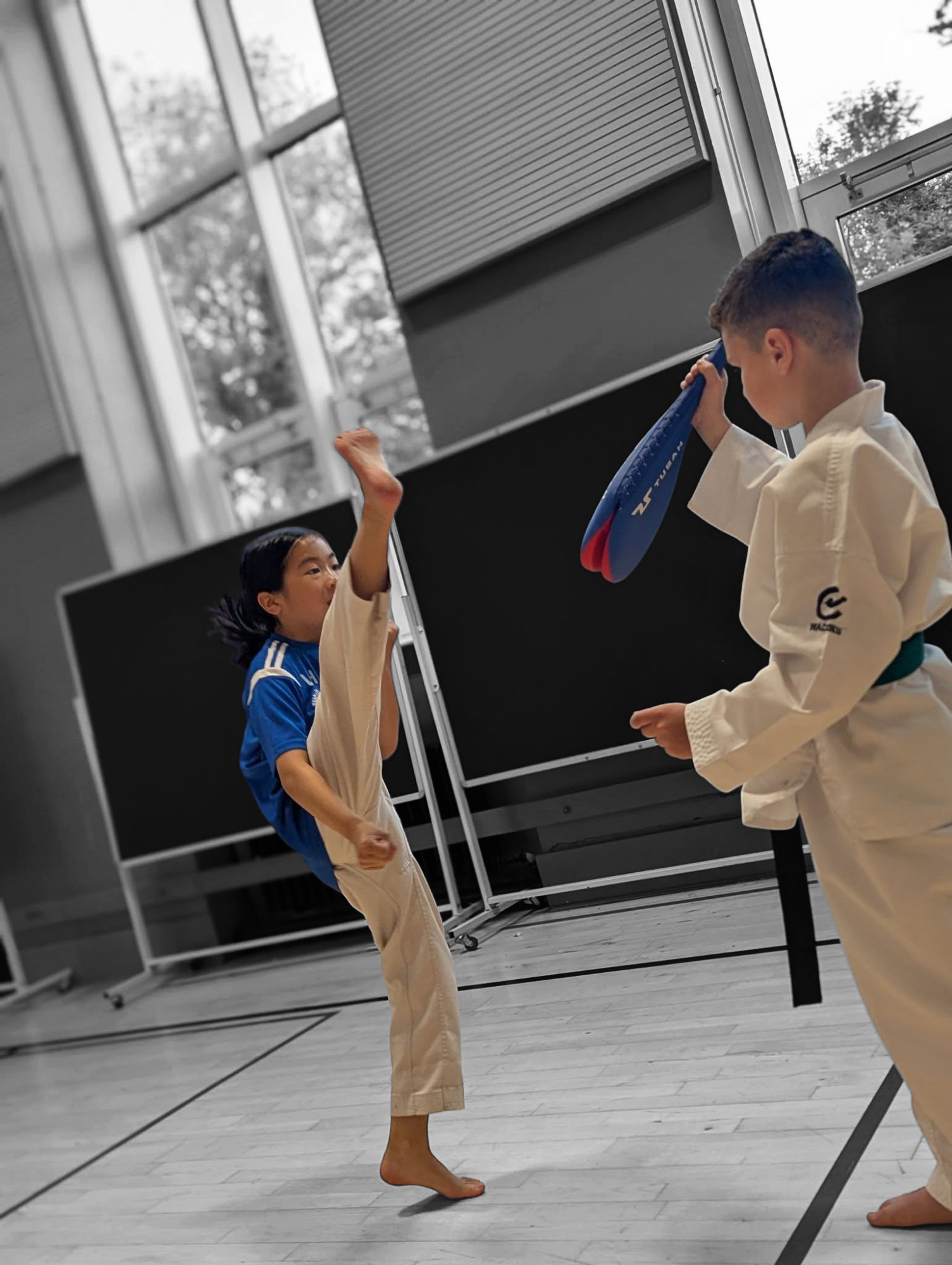 Martial Arts Classes