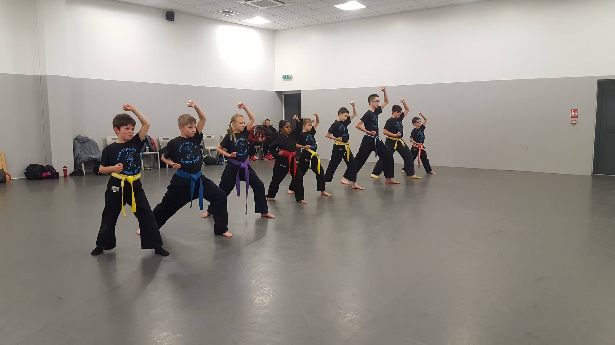 Martial Arts Classes