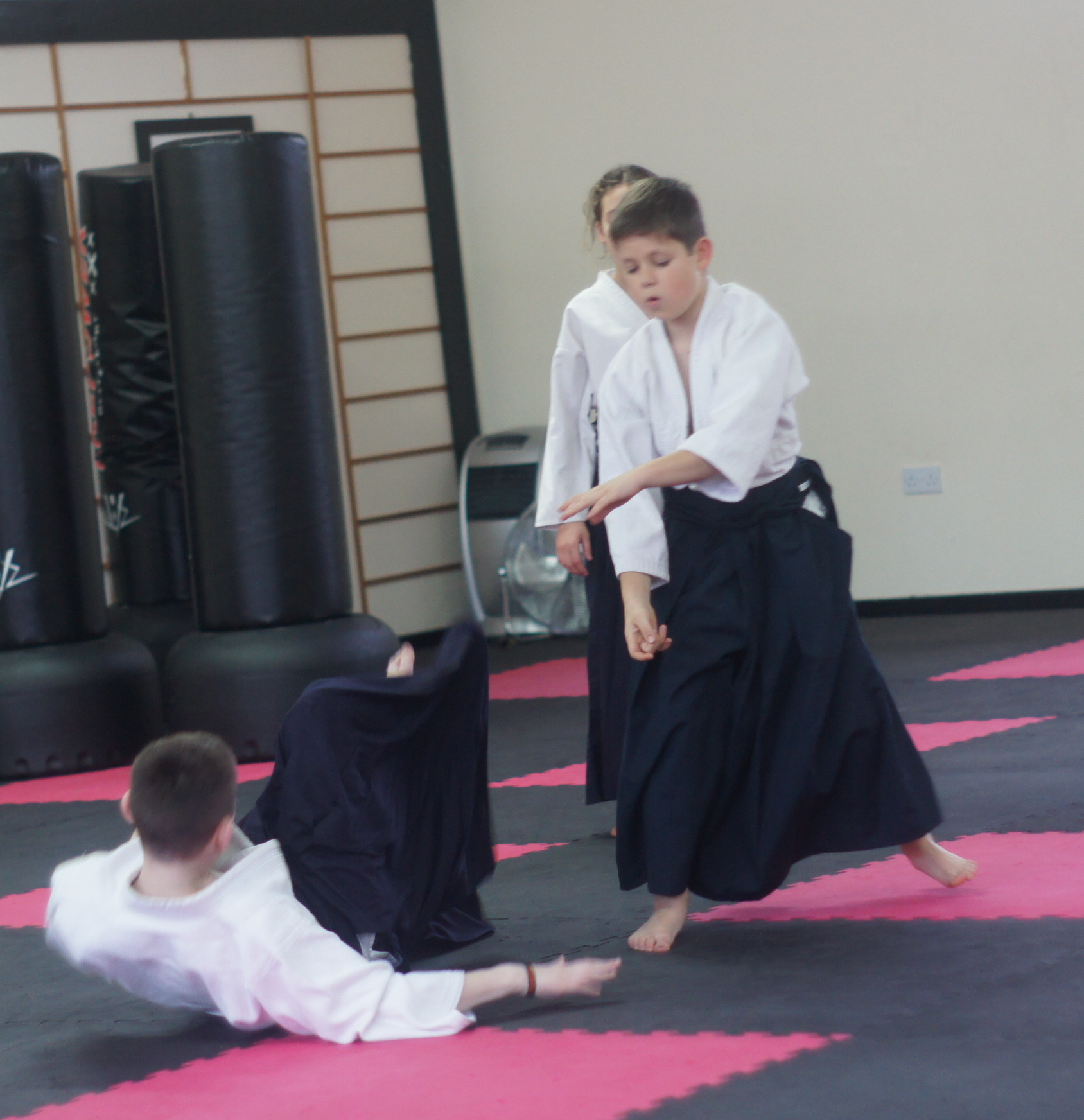 Martial Arts Classes