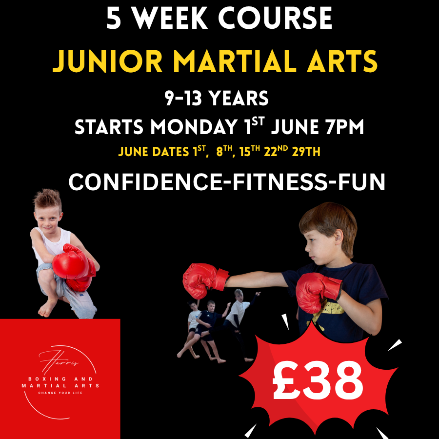 Martial Arts Classes