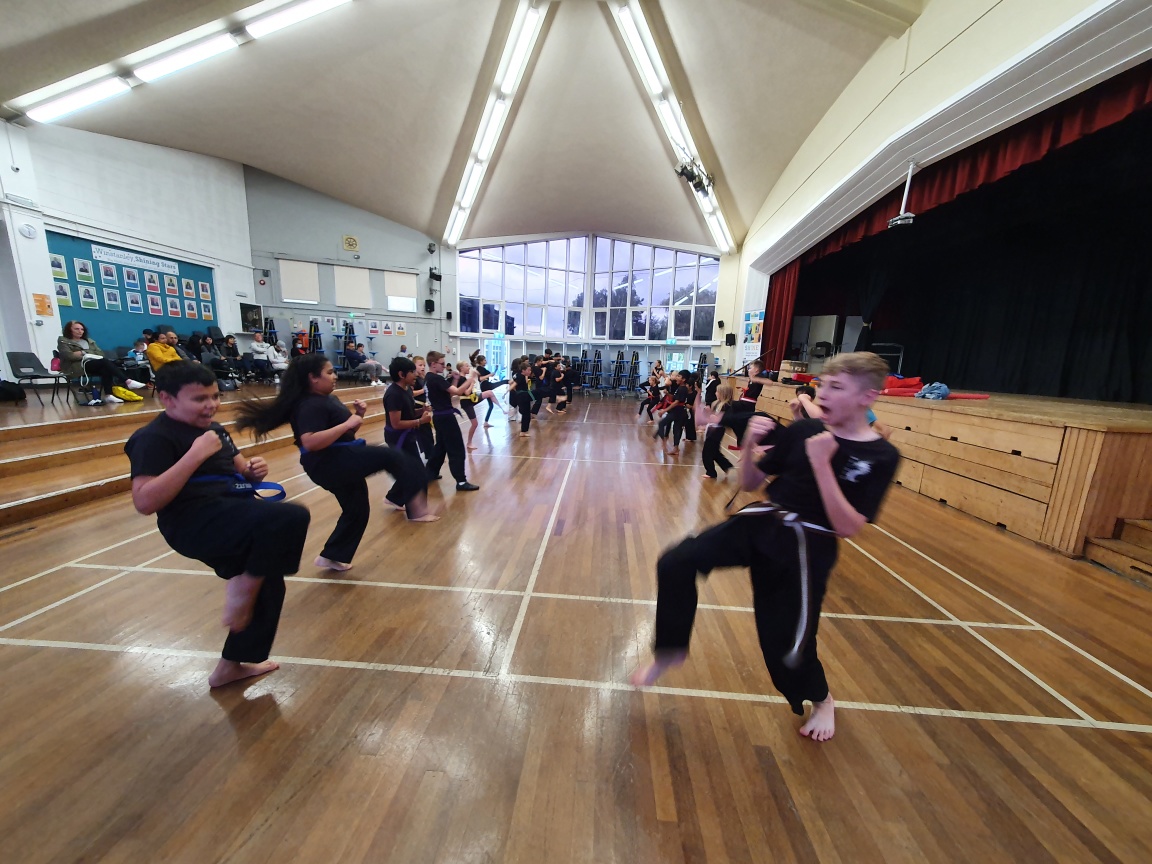 Martial Arts Classes