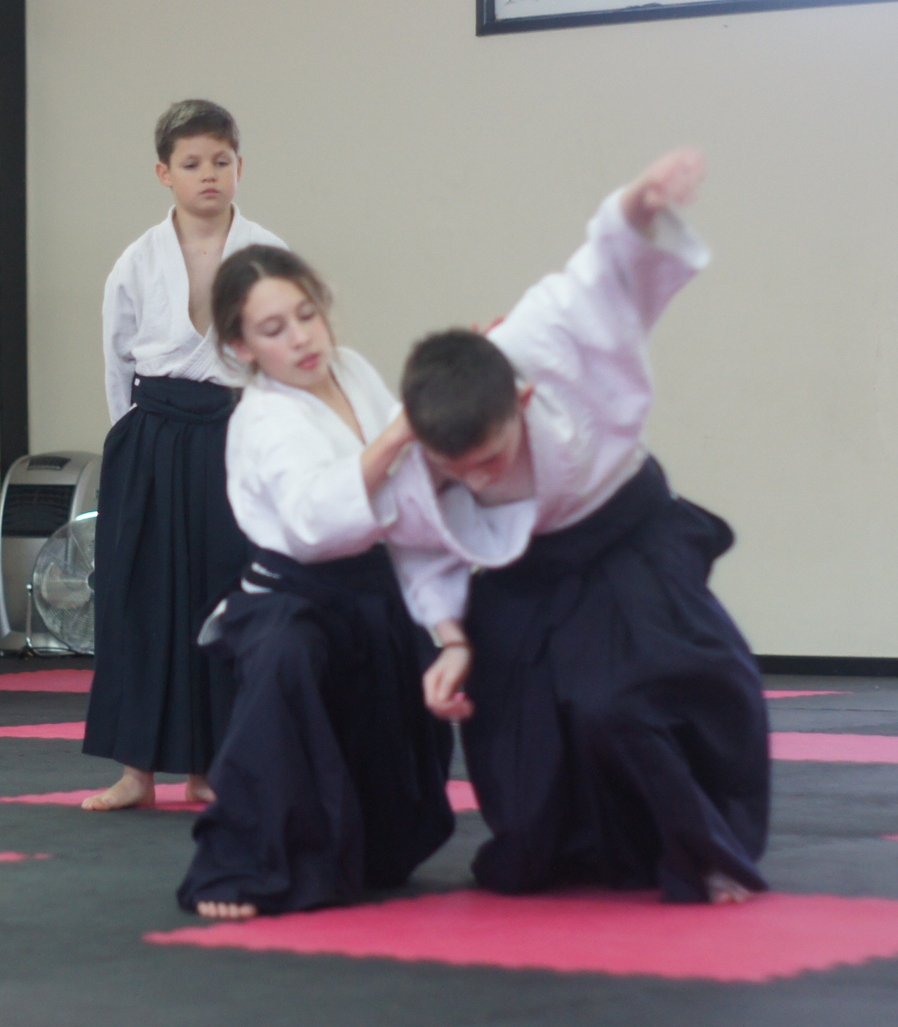 Martial Arts Classes