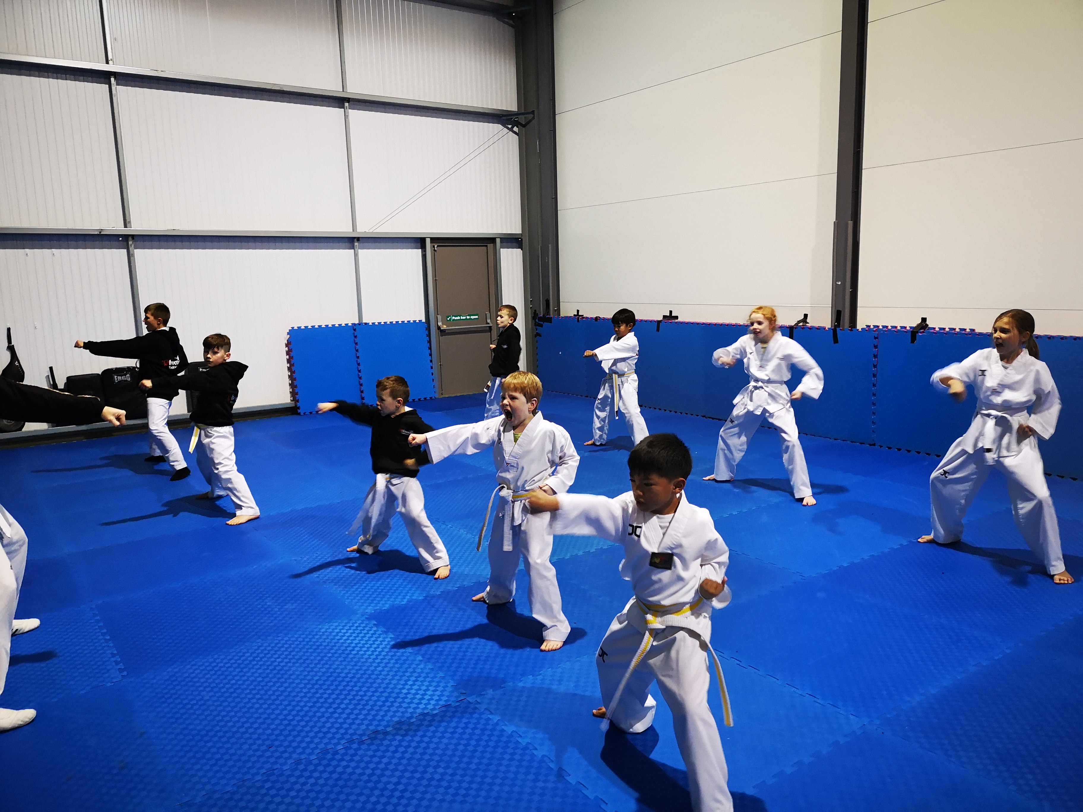 Martial Arts Classes