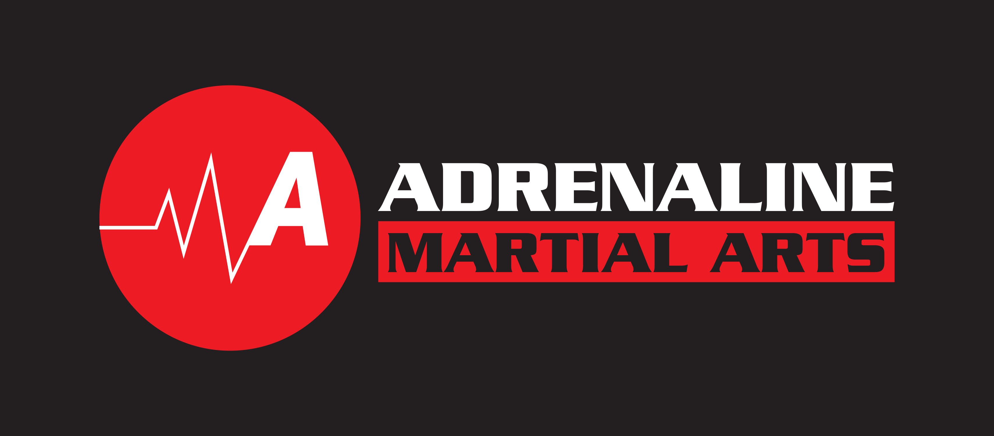 Martial Arts Classes