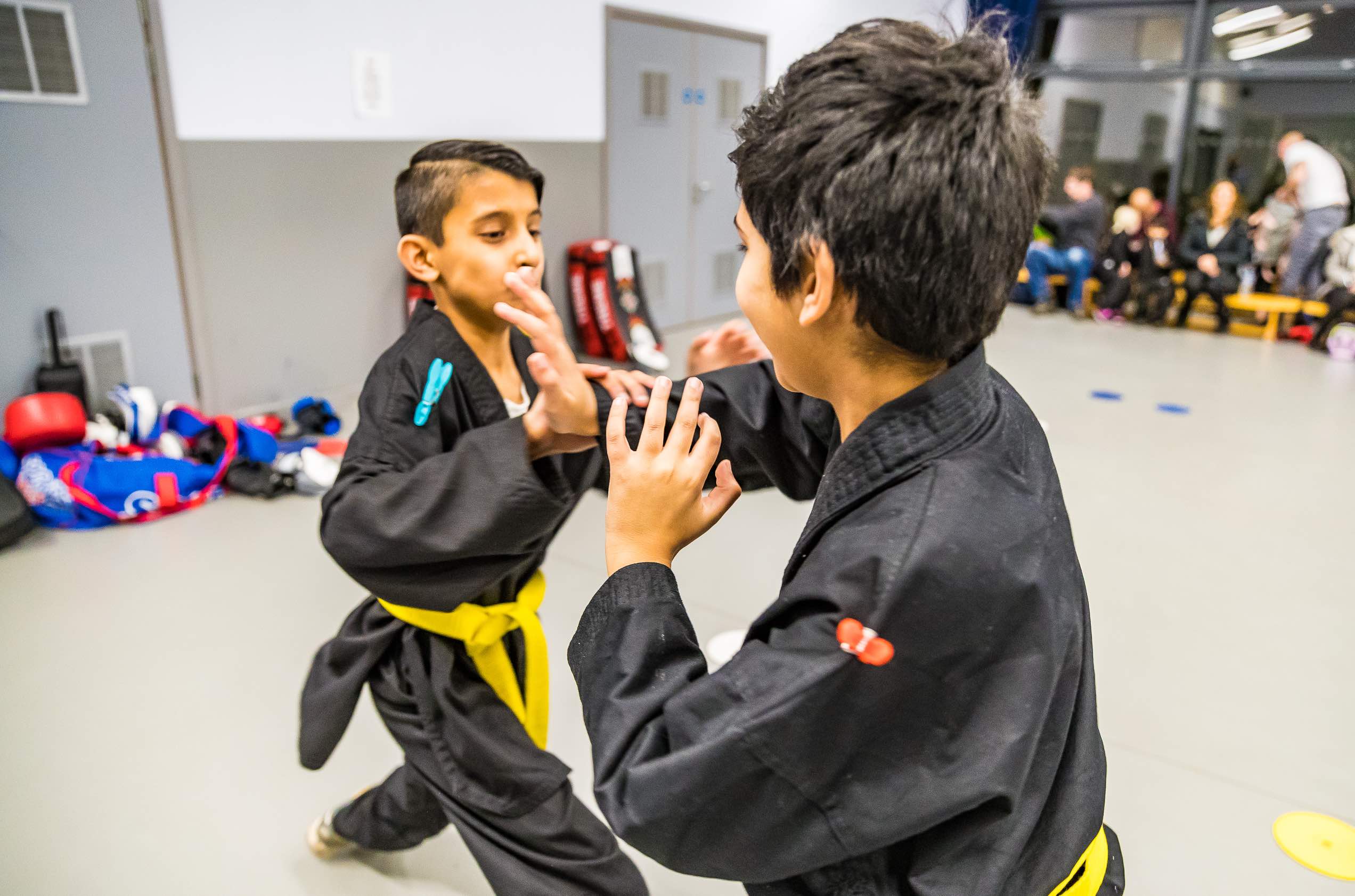 Martial Arts Classes